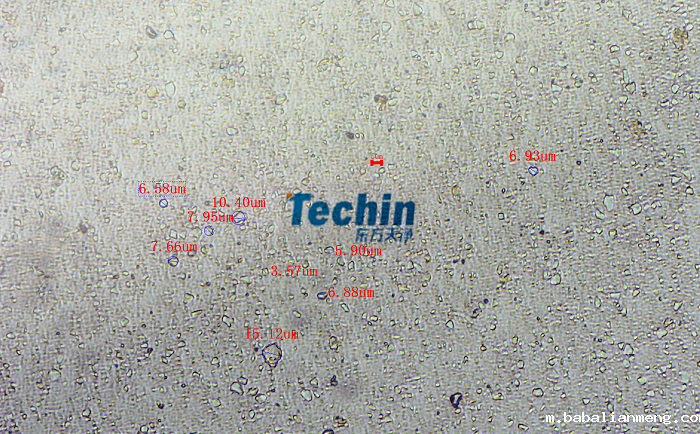 二氧化硅研磨后显微镜图