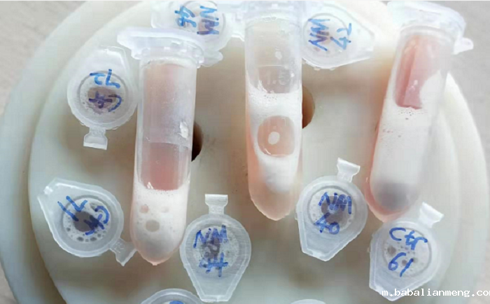 装有样本的离心管