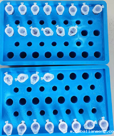 装有上清液的离心管